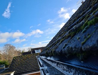 Gutter Cleaning