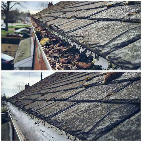 Gutter Cleaning